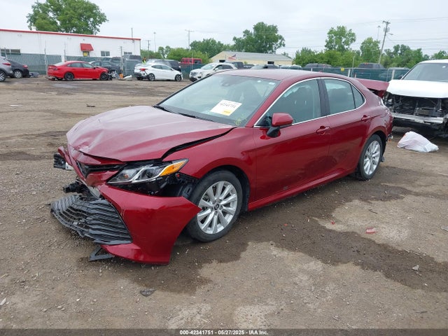 4T1B11HK0KU701422 Toyota Camry L/le/se/xle