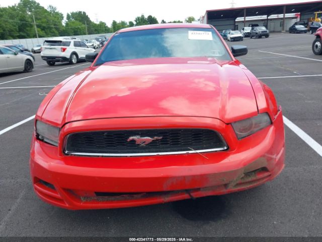 1ZVBP8AM7E5249133 Ford Mustang V6