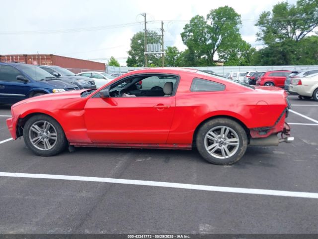 1ZVBP8AM7E5249133 Ford Mustang V6