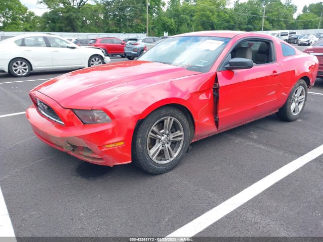 1ZVBP8AM7E5249133 Ford Mustang V6