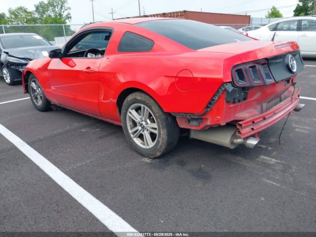 1ZVBP8AM7E5249133 Ford Mustang V6