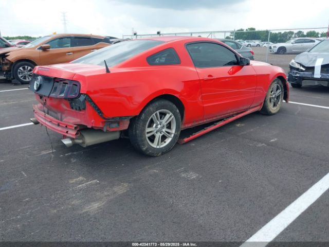 1ZVBP8AM7E5249133 Ford Mustang V6