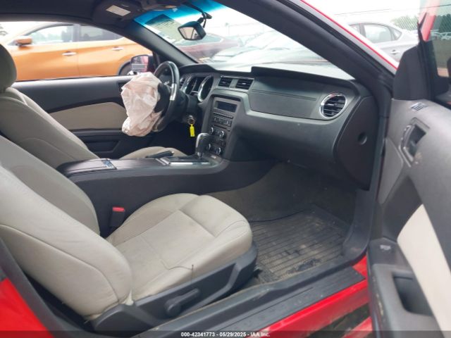 1ZVBP8AM7E5249133 Ford Mustang V6