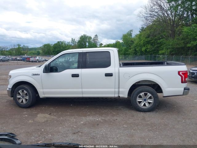 1FTEW1CF2GFA22406 Ford F-150 Xlt