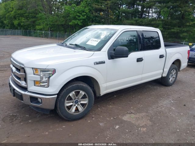1FTEW1CF2GFA22406 Ford F-150 Xlt