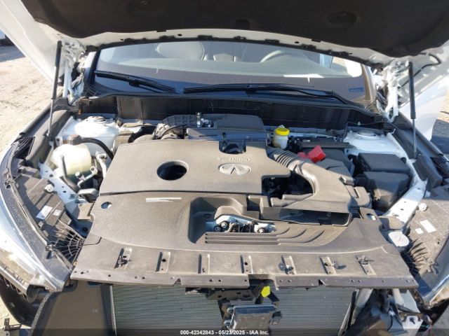 2024 INFINITI QX50 3PCAJ5AB4RF114693 Photo 9