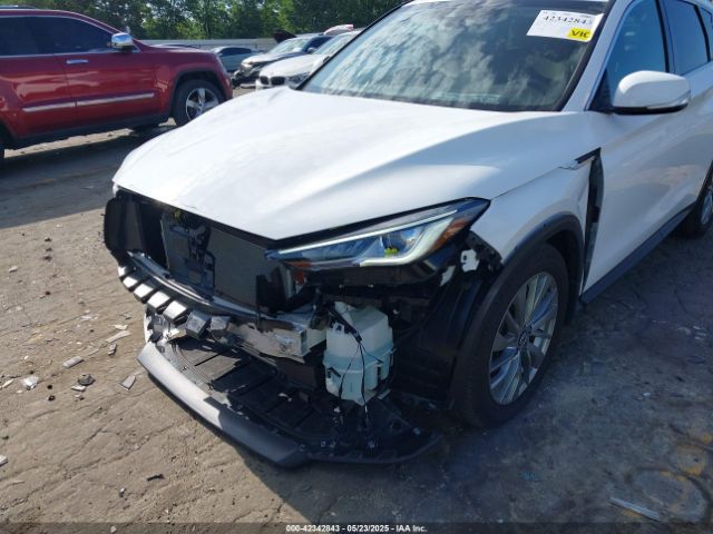 2024 INFINITI QX50 3PCAJ5AB4RF114693 Photo 5