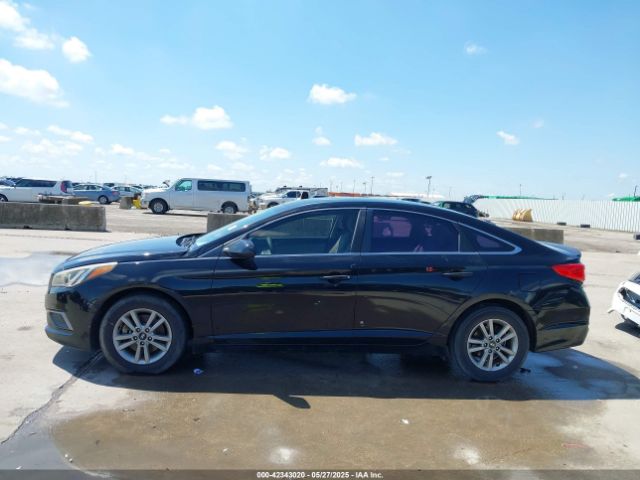5NPE24AF8GH265031 Hyundai SONATA SE
