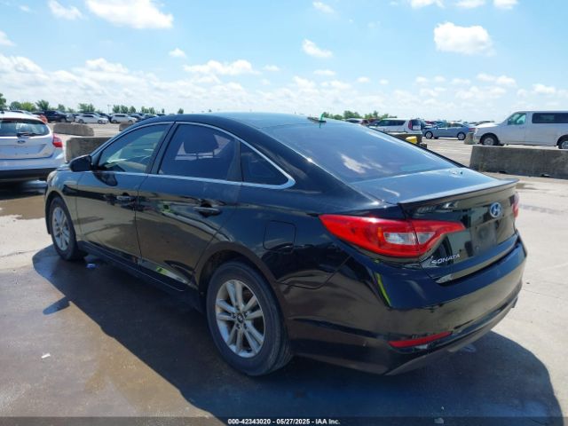 5NPE24AF8GH265031 Hyundai SONATA SE