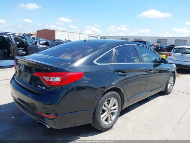 5NPE24AF8GH265031 Hyundai SONATA SE