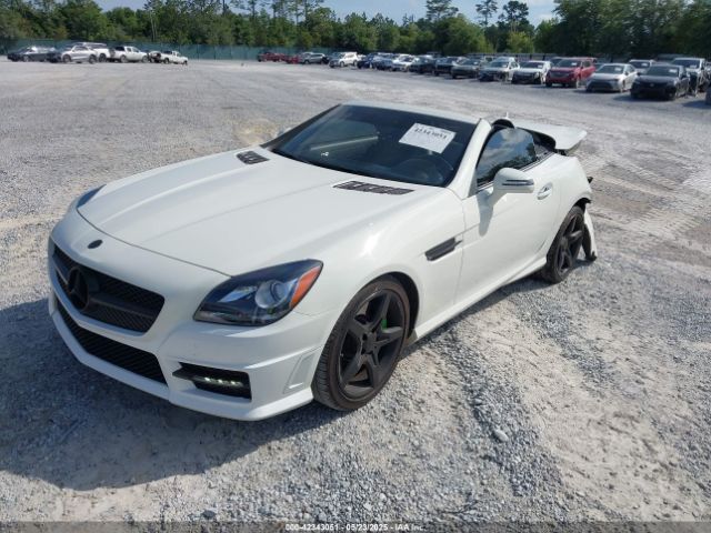 2013 MERCEDES-BENZ SLK 250 WDDPK4HA2DF056625 Photo 1