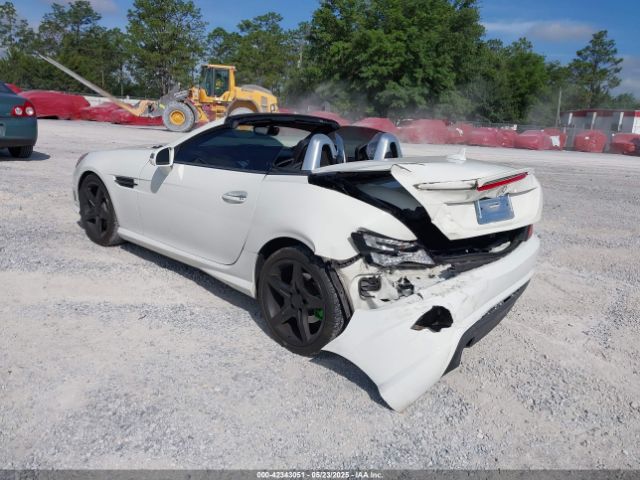 2013 MERCEDES-BENZ SLK 250 WDDPK4HA2DF056625 Photo 2