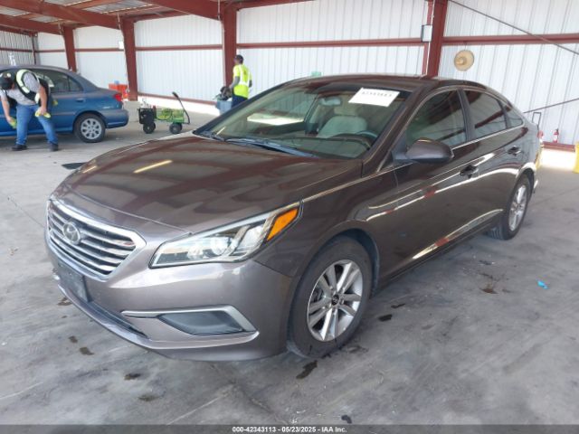 5NPE24AF3GH372746 Hyundai SONATA SE