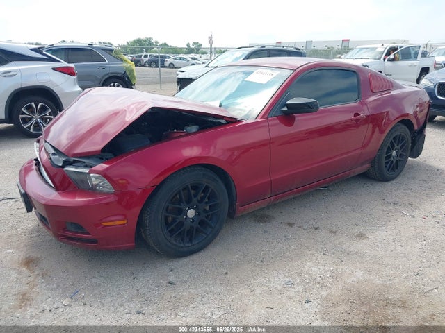 1ZVBP8AM7E5299126 Ford Mustang