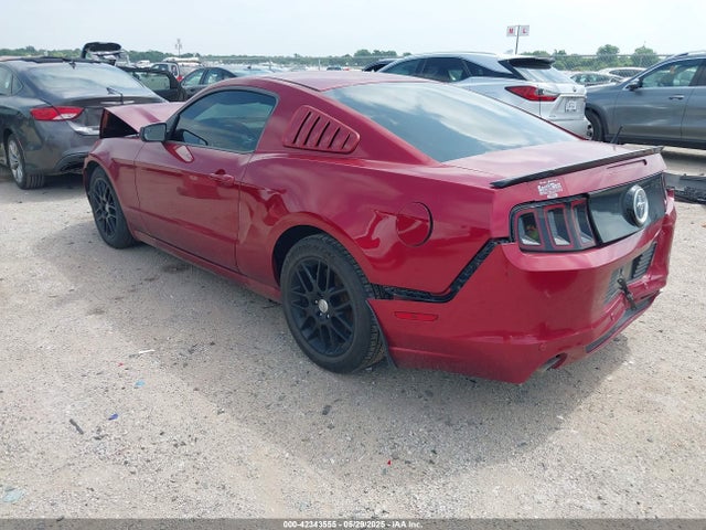 1ZVBP8AM7E5299126 Ford Mustang