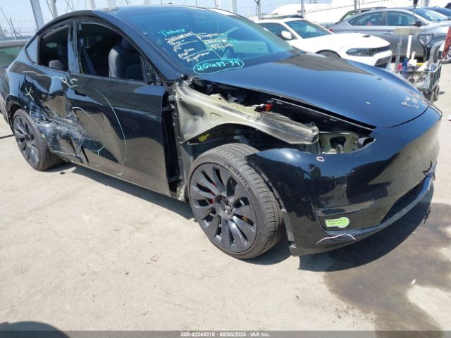 2023 TESLA MODEL Y 7SAYGDEF0PF691547