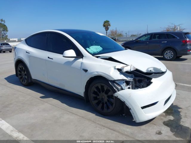2023 TESLA MODEL Y 7SAYGAEE1PF637017