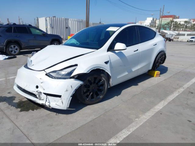 2023 TESLA MODEL Y 7SAYGAEE1PF637017 Photo 1