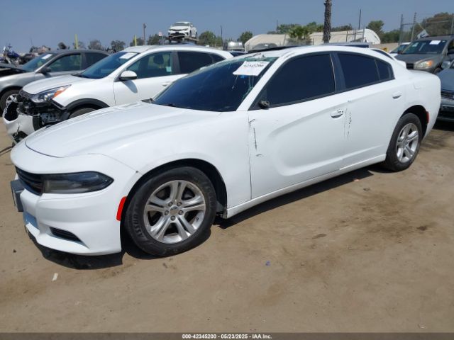 2019 DODGE CHARGER 2C3CDXBG6KH710141 Photo 1