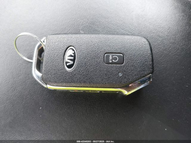 2021 KIA TELLURIDE 5XYP5DHC9MG095972 Photo 10