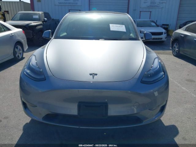 7SAYGDED4SF319152 Tesla 2025