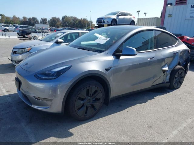 7SAYGDED4SF319152 Tesla 2025