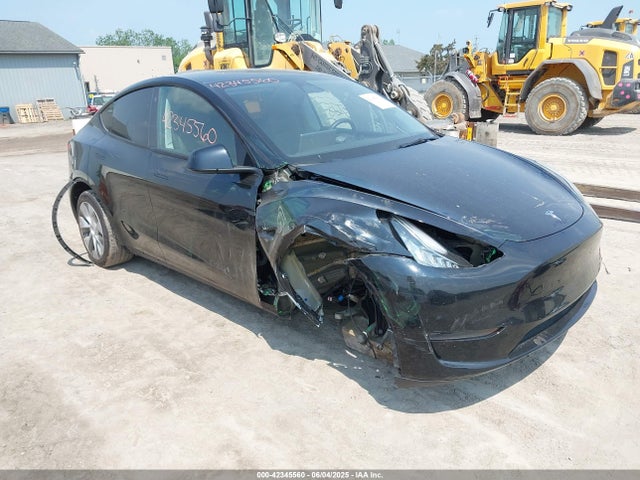 2023 TESLA MODEL Y 7SAYGDEEXPA083135 Photo 0