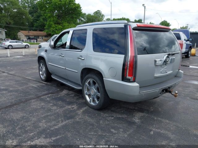 2010 CADILLAC ESCALADE 1GYUKBEF9AR257170 Photo 2