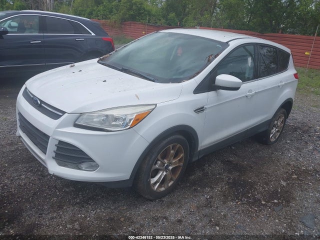 1FMCU0GX1EUB57195 Ford ESCAPE SE