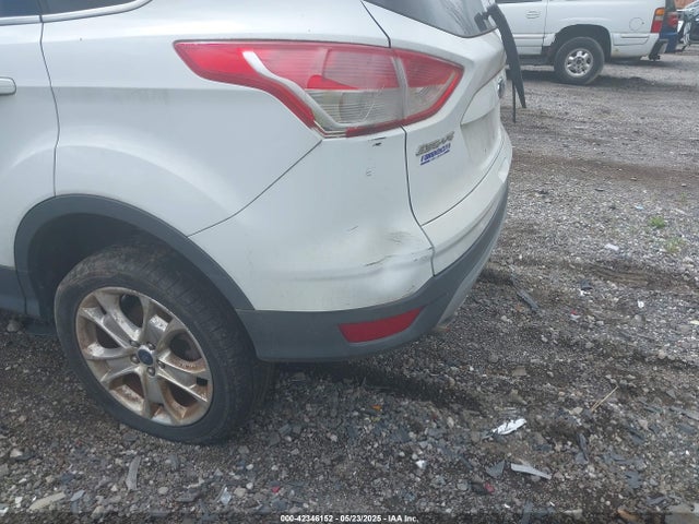 1FMCU0GX1EUB57195 Ford ESCAPE SE