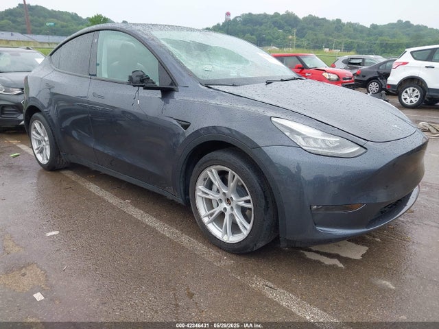 2021 TESLA MODEL Y 5YJYGDEE5MF175295 Photo 0