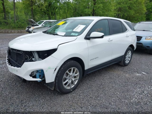 2023 CHEVROLET EQUINOX 3GNAXUEGXPS145862 Photo 1