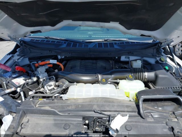 1FTFW1ED7NFB06461 Ford F-150 Xlt