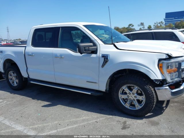 1FTFW1ED7NFB06461 Ford F-150 Xlt