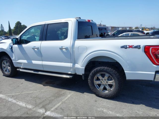 1FTFW1ED7NFB06461 Ford F-150 Xlt