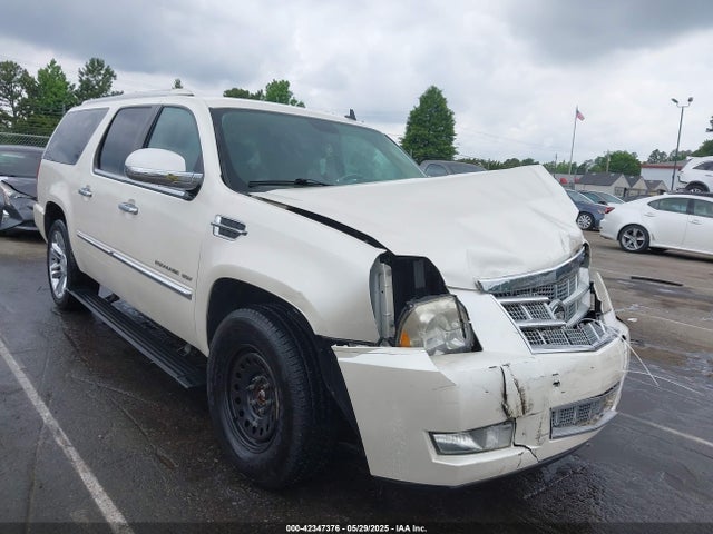 2010 CADILLAC ESCALADE ESV 1GYUKKEF8AR256947 Photo 0