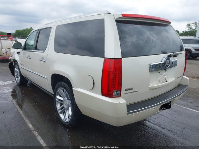 2010 CADILLAC ESCALADE ESV 1GYUKKEF8AR256947 Photo 2