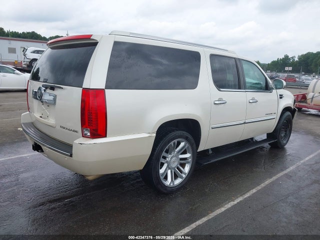 2010 CADILLAC ESCALADE ESV 1GYUKKEF8AR256947 Photo 3
