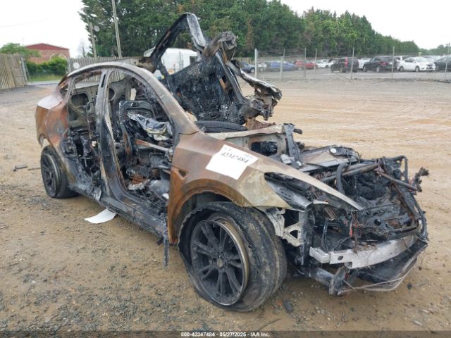2023 TESLA MODEL Y 7SAYGDED2PF946309 Photo 0