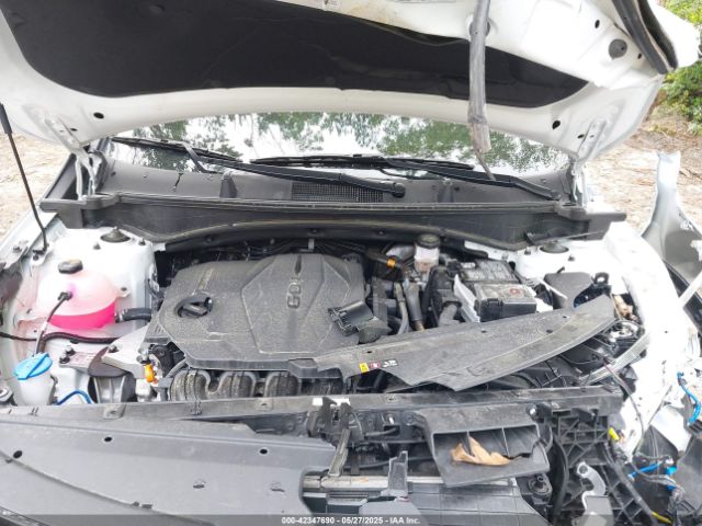 2024 KIA SPORTAGE 5XYK33DF7RG232361 Photo 9
