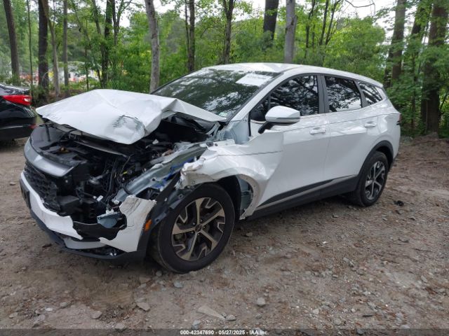 2024 KIA SPORTAGE 5XYK33DF7RG232361 Photo 1