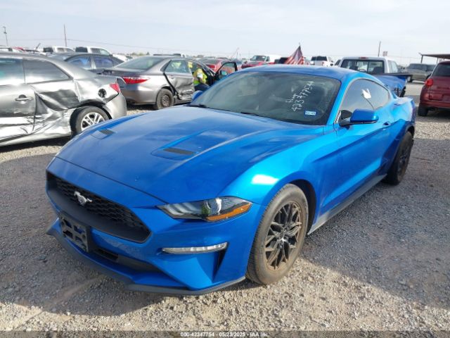 2019 FORD MUSTANG 1FA6P8THXK5185806 Photo 1