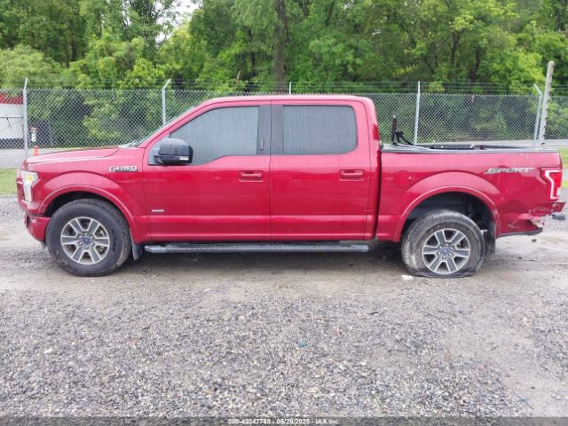 1FTEW1CG6GFD09966 Ford F-150 Xlt