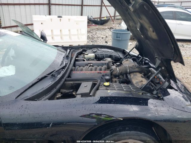 2004 CHEVROLET CORVETTE 1G1YY22G245114004 Photo 9