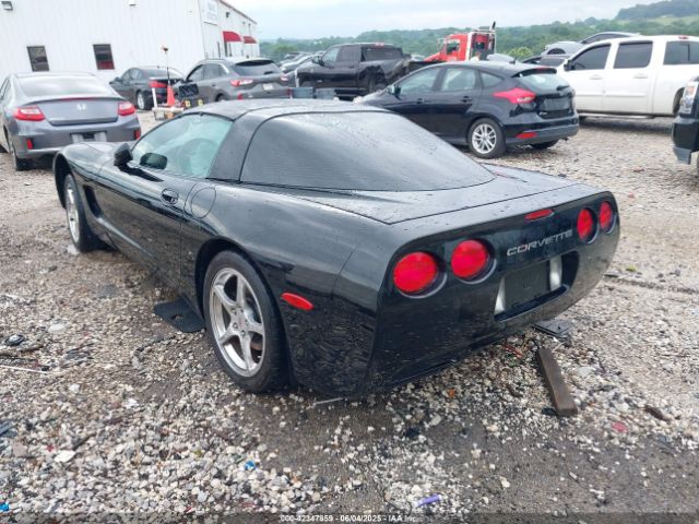 2004 CHEVROLET CORVETTE 1G1YY22G245114004 Photo 2