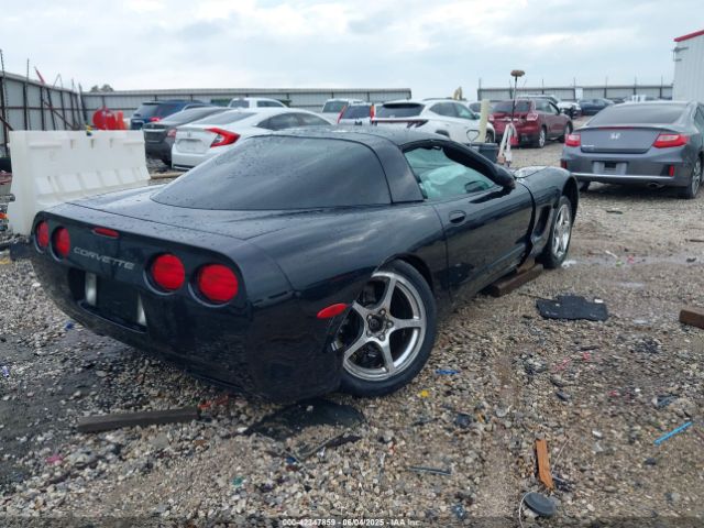 2004 CHEVROLET CORVETTE 1G1YY22G245114004 Photo 3