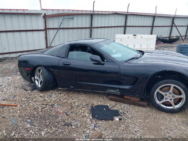 2004 CHEVROLET CORVETTE 1G1YY22G245114004 Photo 5