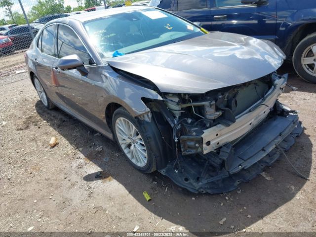 2019 TOYOTA CAMRY 4T1B11HKXKU261063