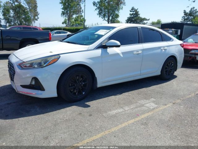 5NPE24AF7JH612551 Hyundai SONATA SE
