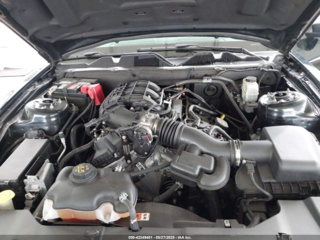 2014 FORD MUSTANG 1ZVBP8AM5E5304212 Photo 9
